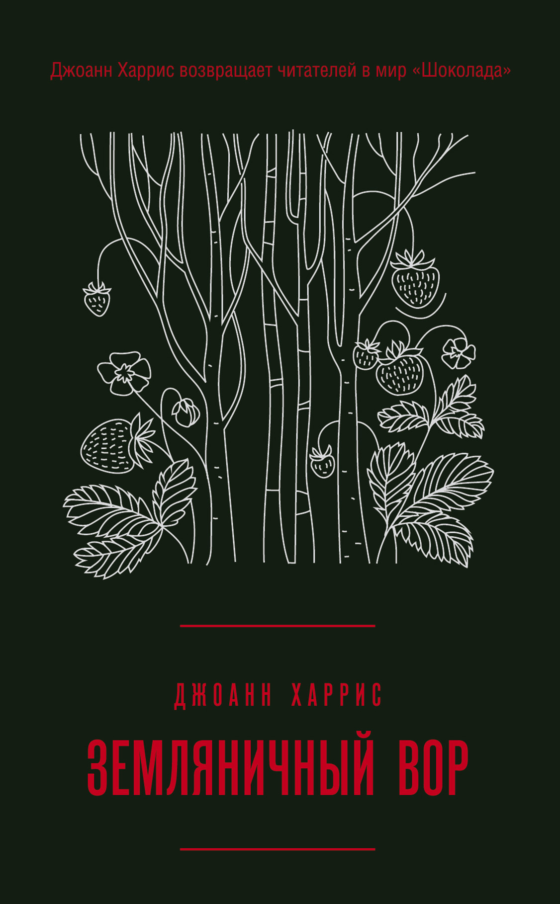 Обложка книги «Земляничный вор»