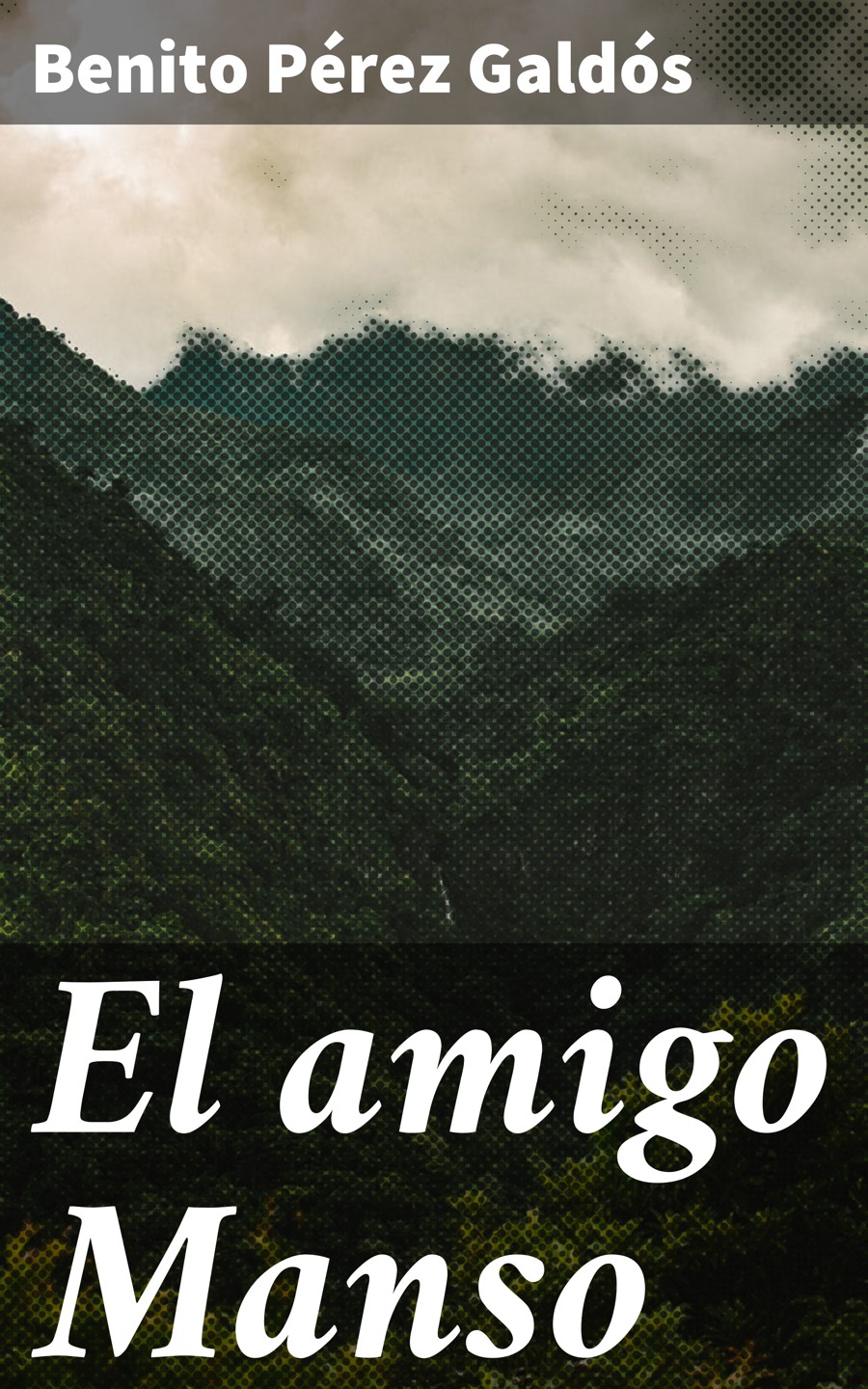 Обложка книги «El amigo Manso»
