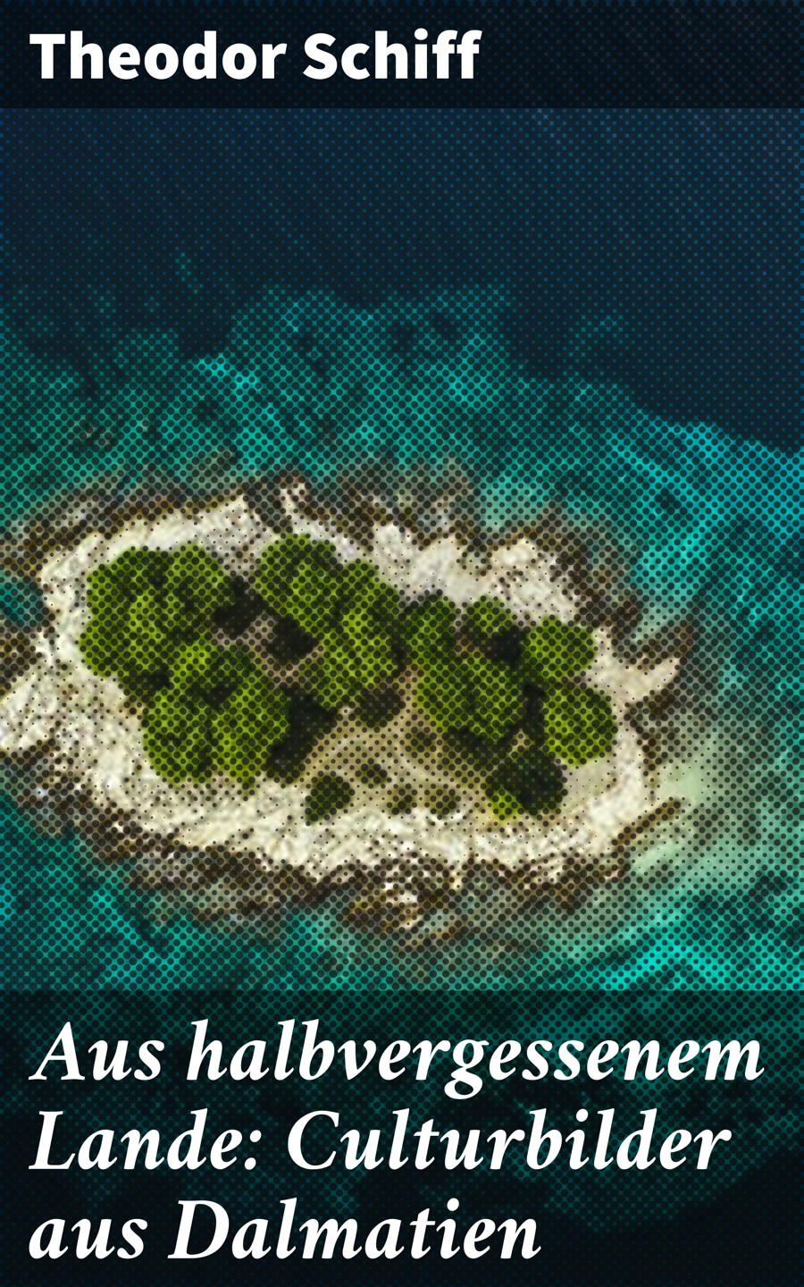 Обложка книги «Aus halbvergessenem Lande: Culturbilder aus Dalmatien»