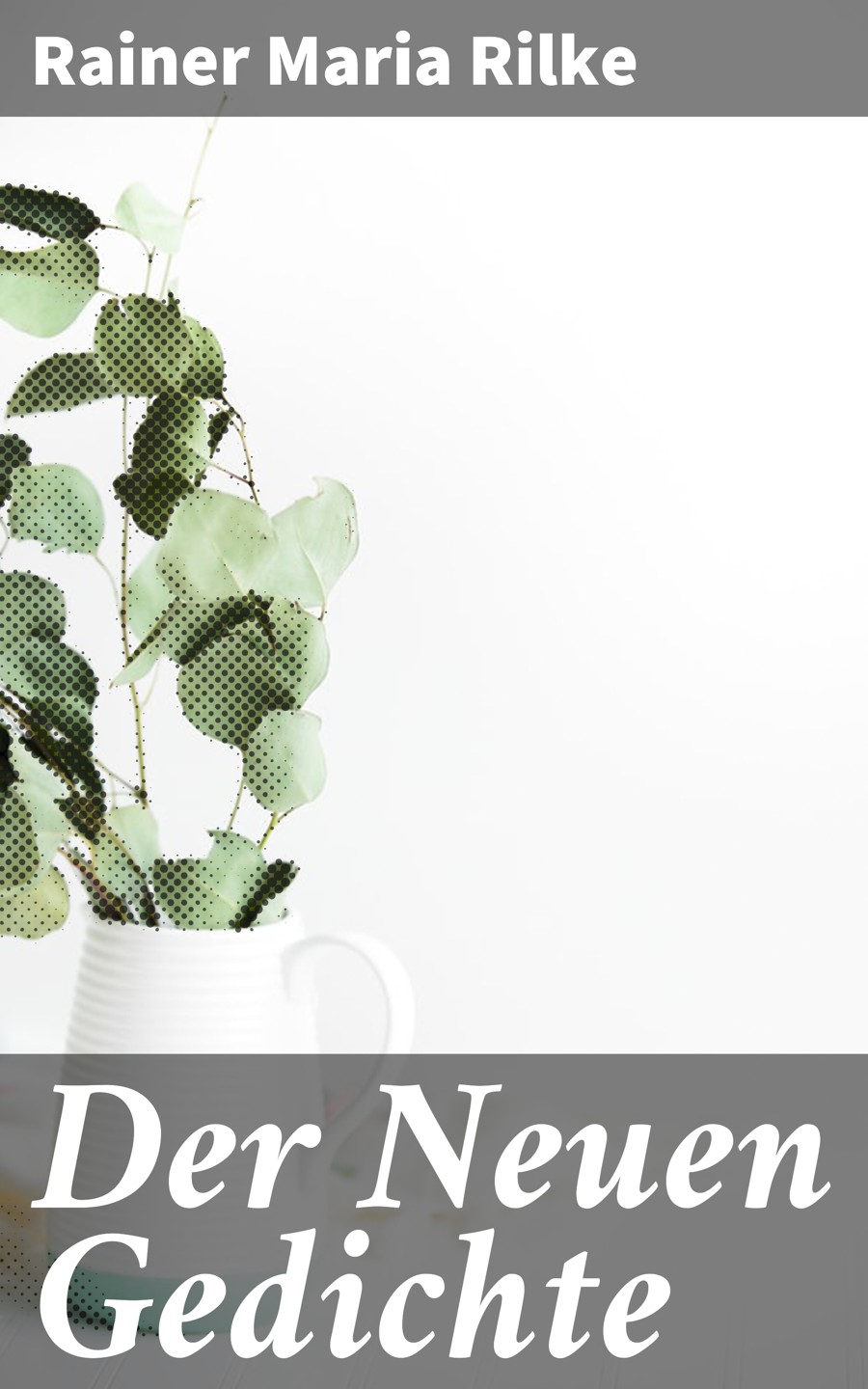 Обложка книги «Der Neuen Gedichte»