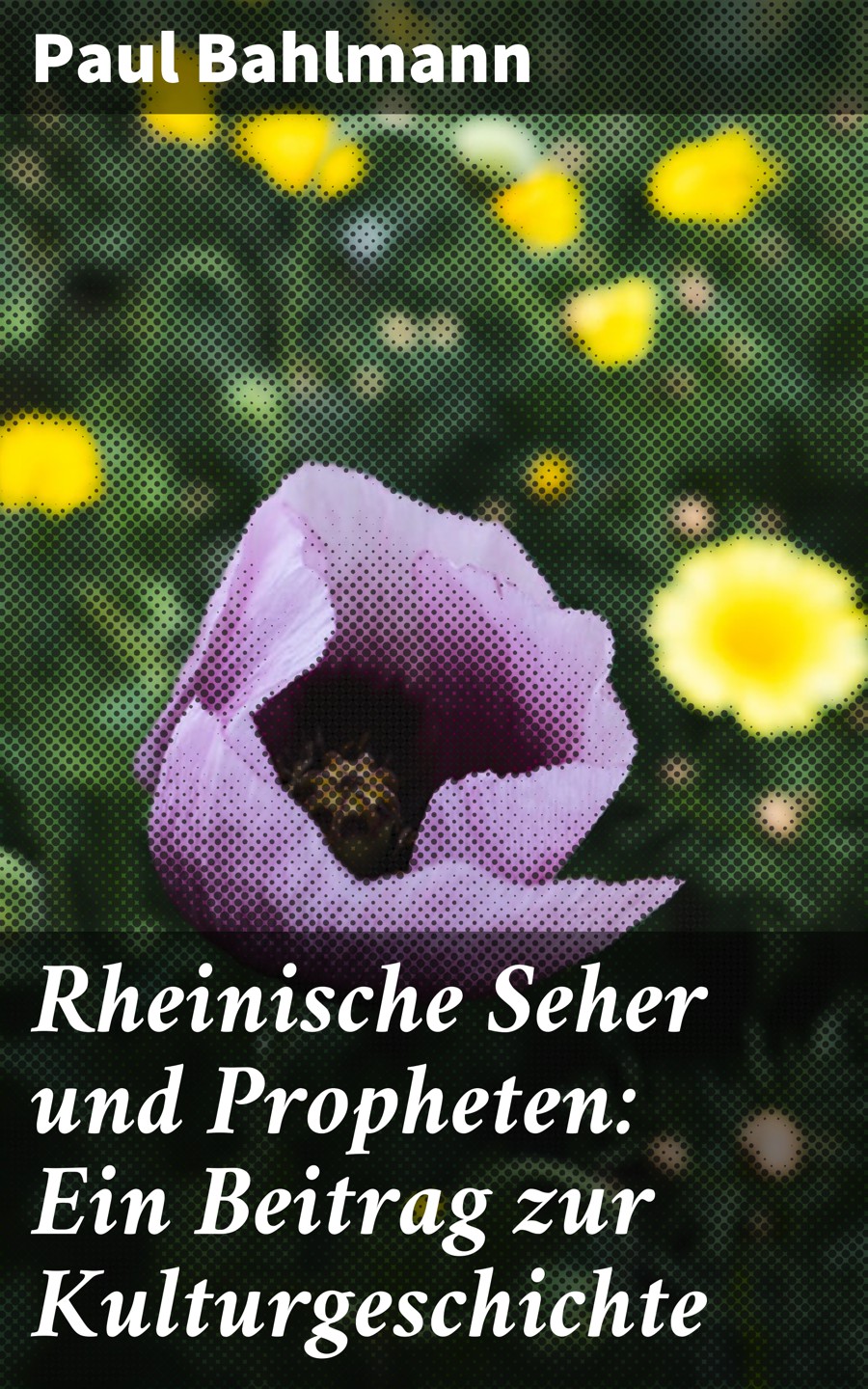 Обложка книги «Rheinische Seher und Propheten: Ein Beitrag zur Kulturgeschichte»