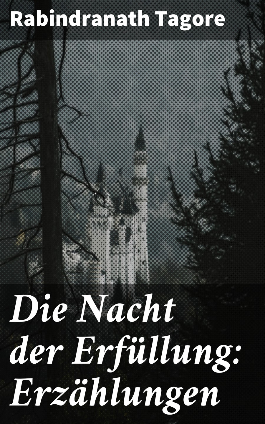 Обложка книги «Die Nacht der Erfüllung: Erzählungen»