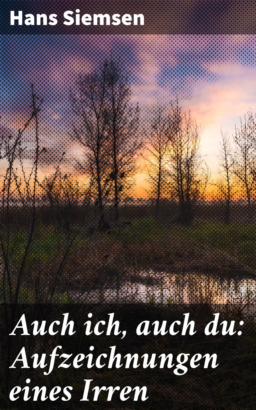Обложка книги «Auch ich, auch du: Aufzeichnungen eines Irren»