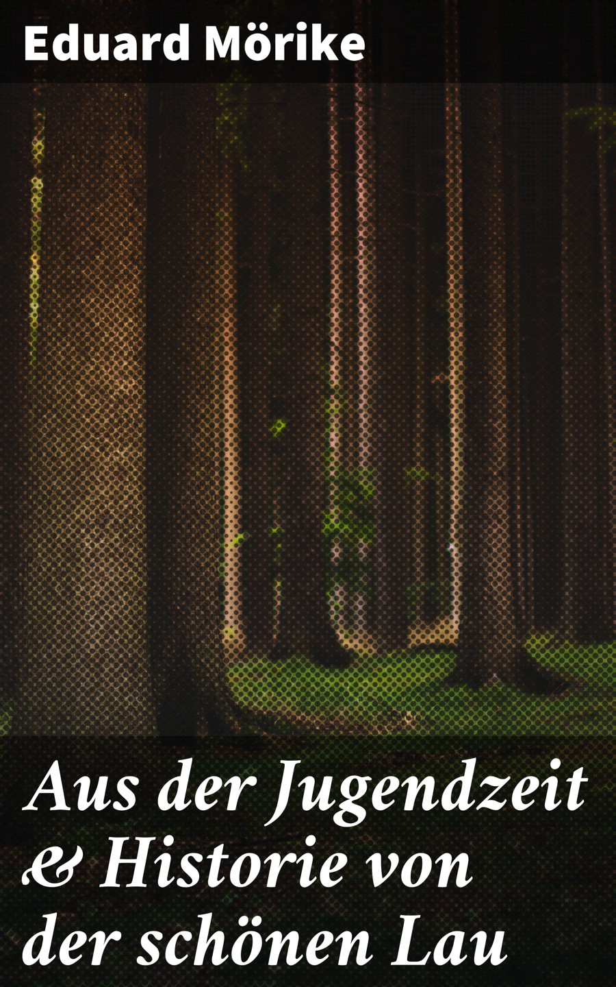 Обложка книги «Aus der Jugendzeit & Historie von der schönen Lau»