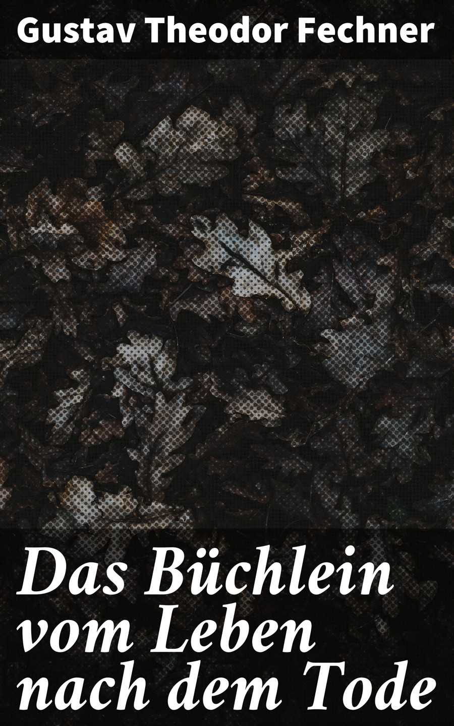 Обложка книги «Das Büchlein vom Leben nach dem Tode»