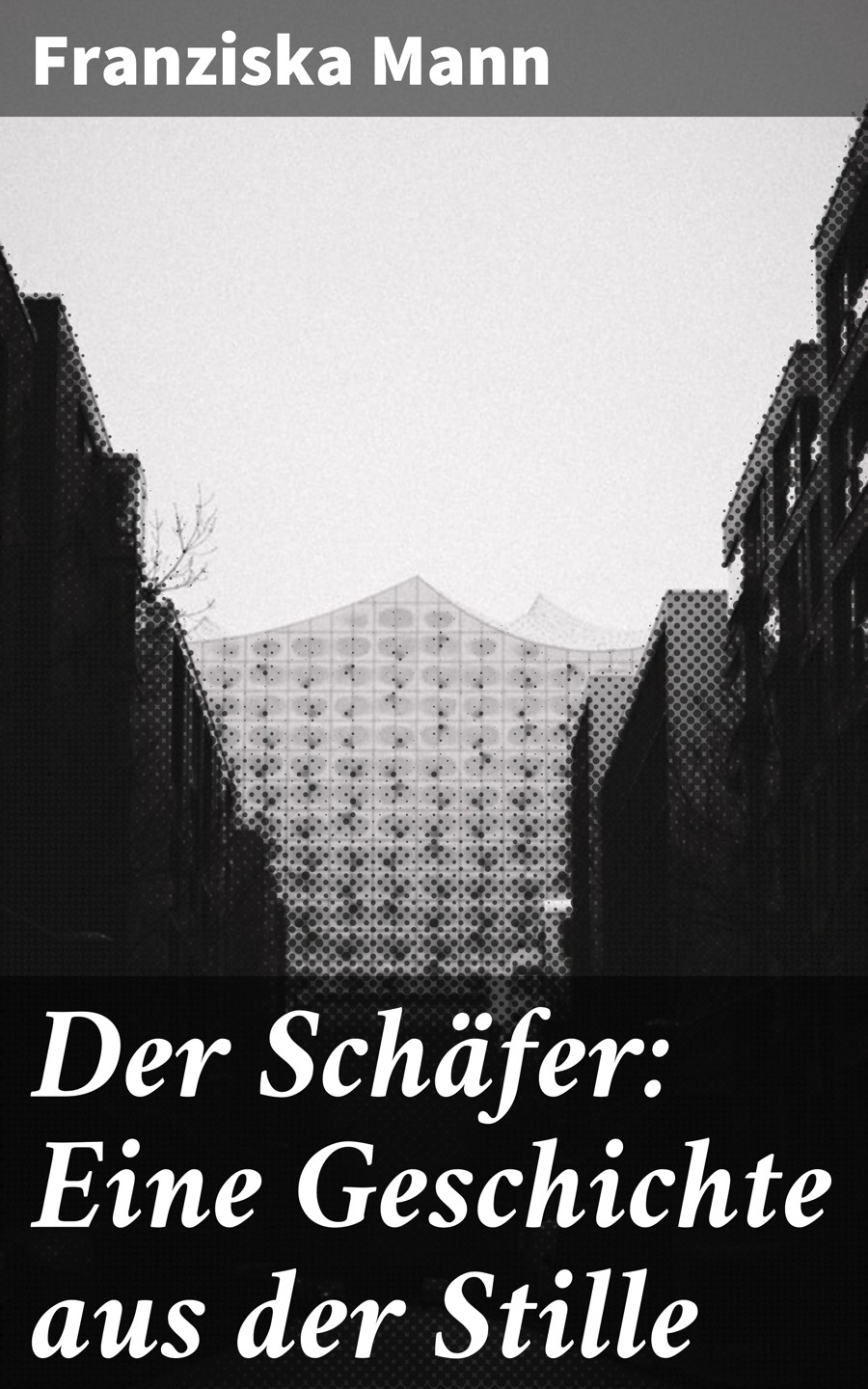 Обложка книги «Der Schäfer: Eine Geschichte aus der Stille»