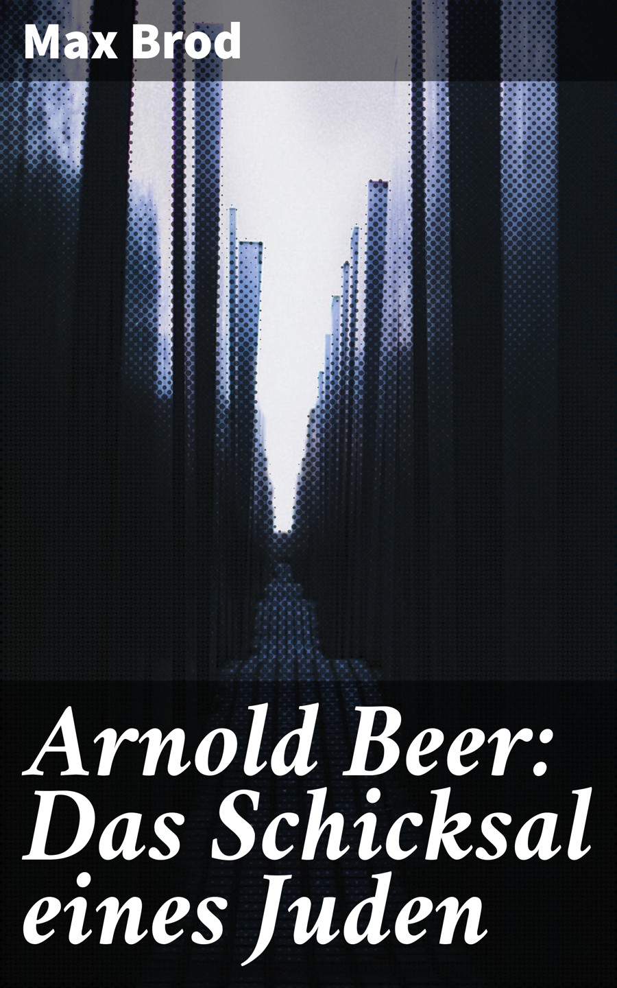 Обложка книги «Arnold Beer: Das Schicksal eines Juden»