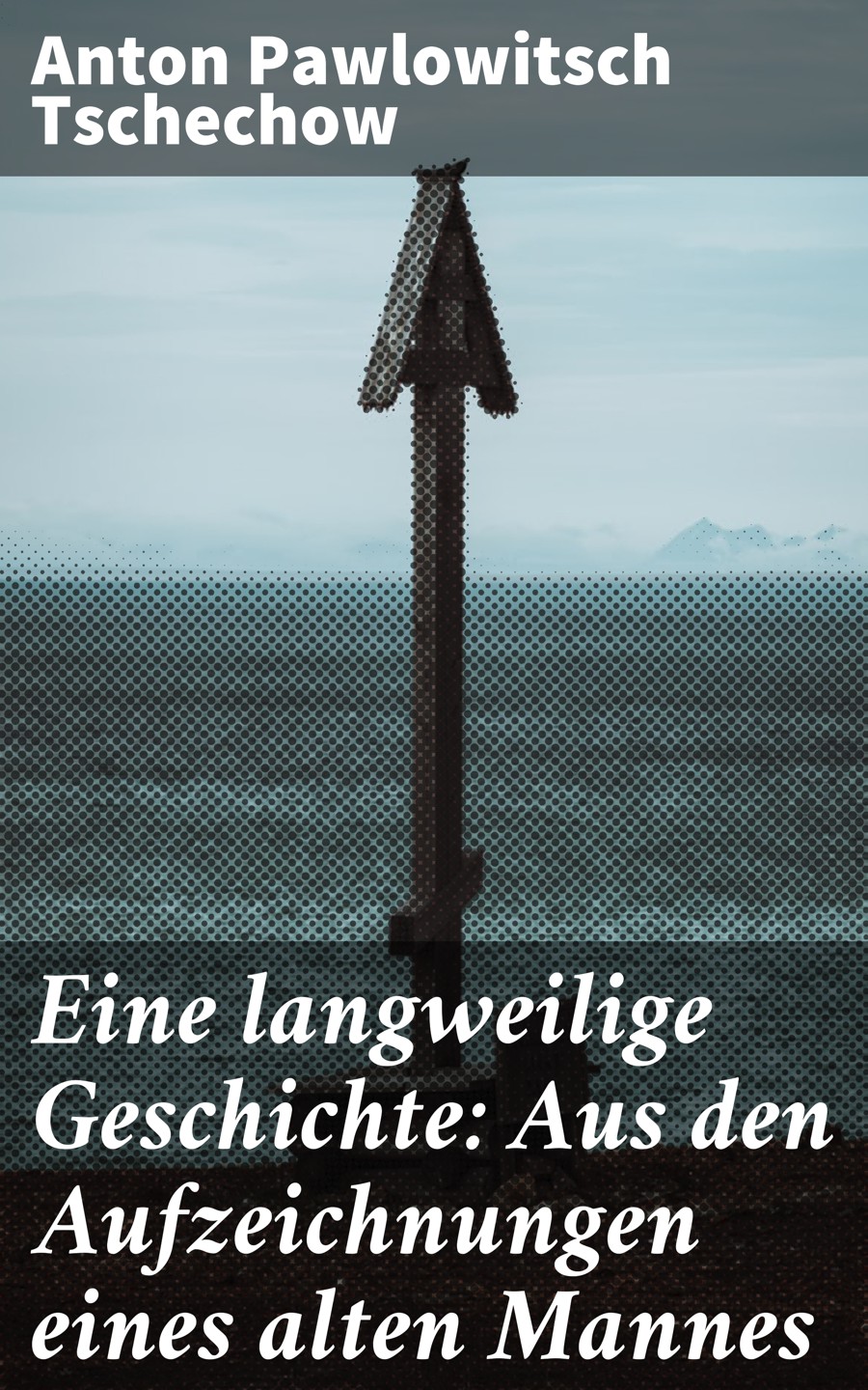 Обложка книги «Eine langweilige Geschichte: Aus den Aufzeichnungen eines alten Mannes»