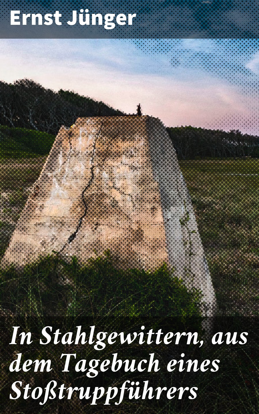 Обложка книги «In Stahlgewittern, aus dem Tagebuch eines Stoßtruppführers»