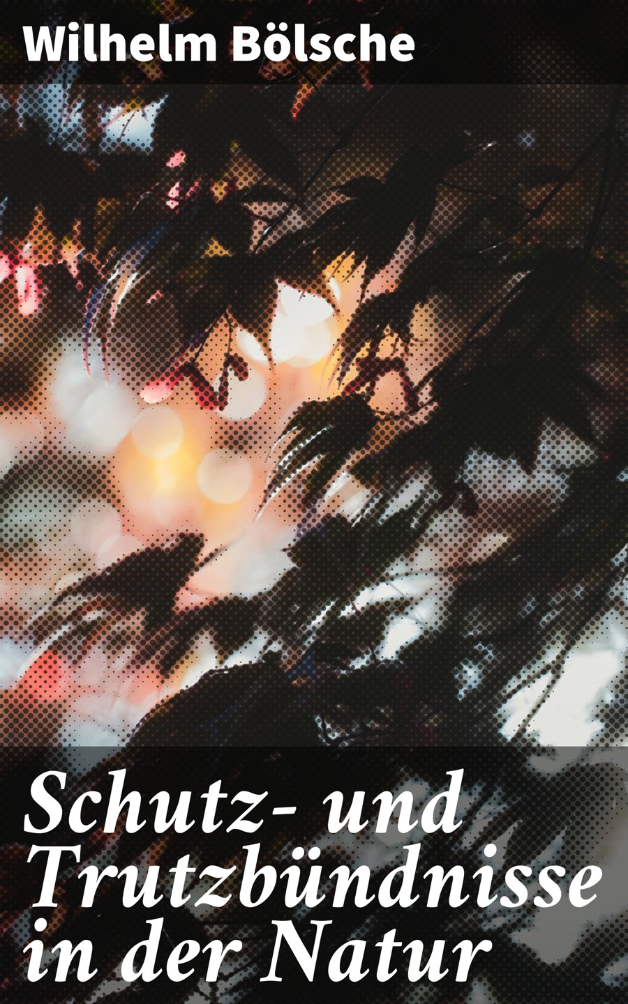 Обложка книги «Schutz- und Trutzbündnisse in der Natur»