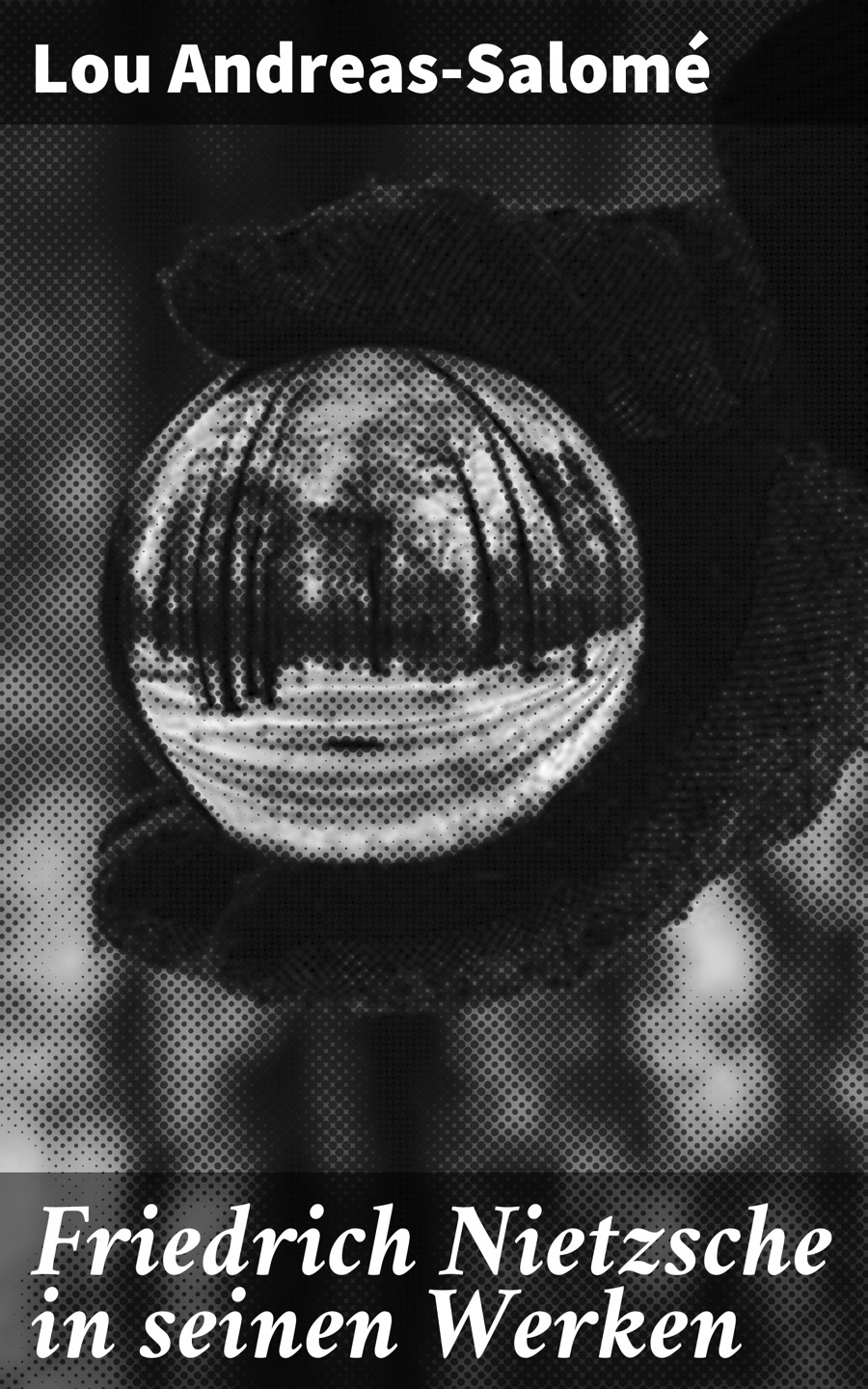 Обложка книги «Friedrich Nietzsche in seinen Werken»