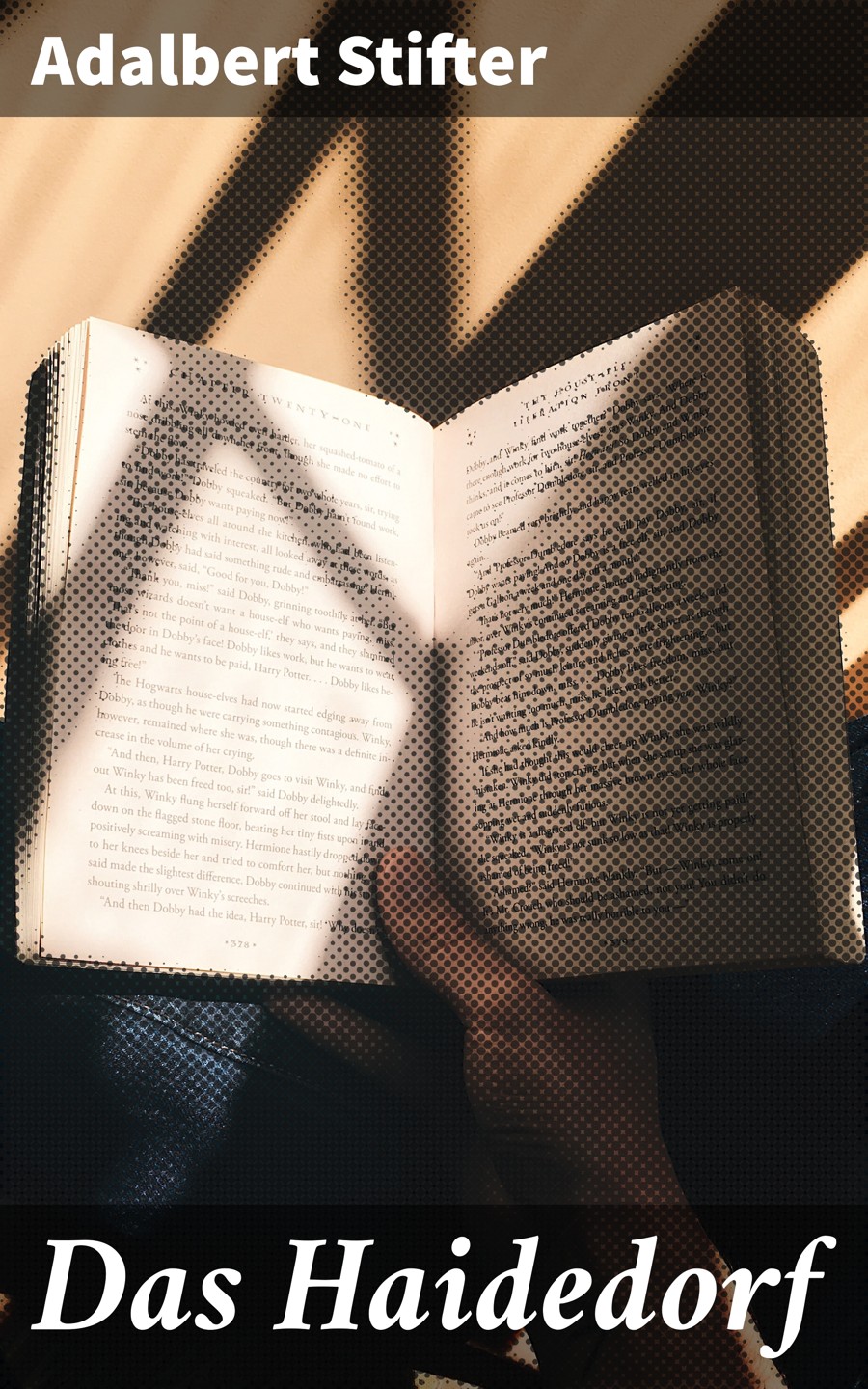 Обложка книги «Das Haidedorf»