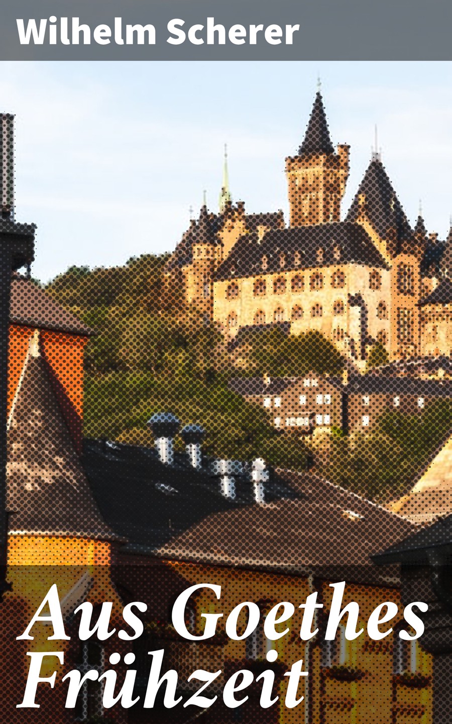 Обложка книги «Aus Goethes Frühzeit»