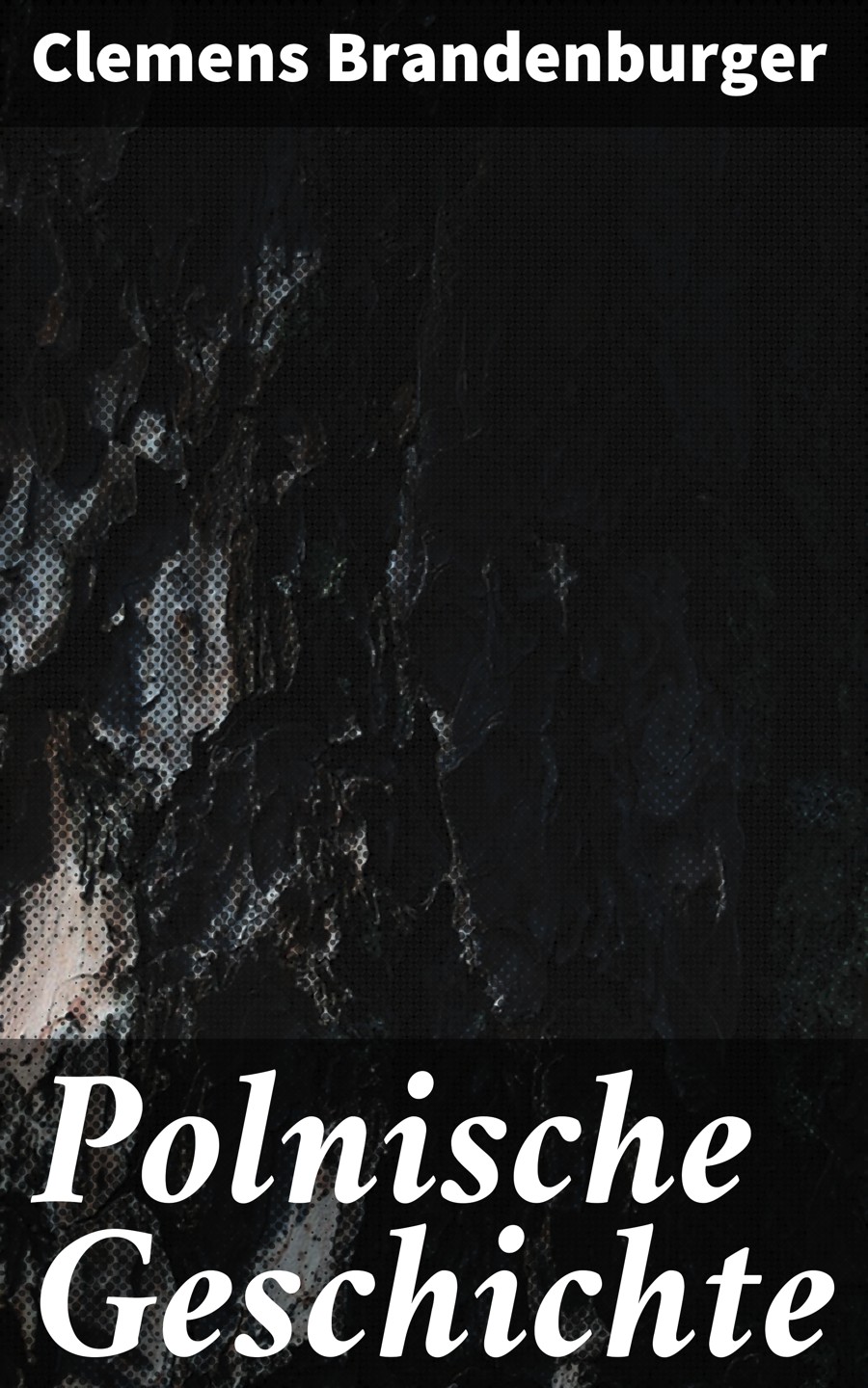 Обложка книги «Polnische Geschichte»