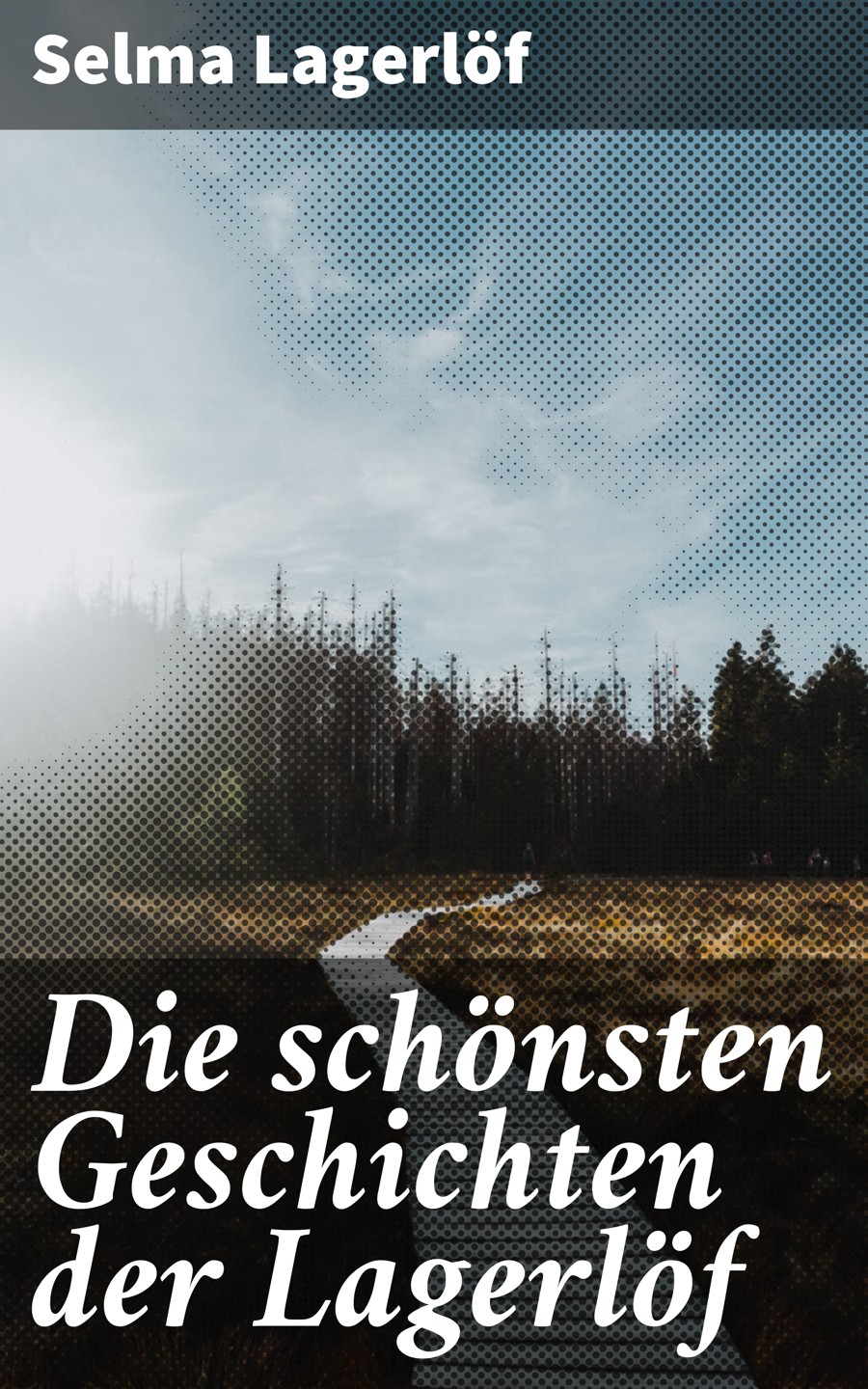 Обложка книги «Die schönsten Geschichten der Lagerlöf»
