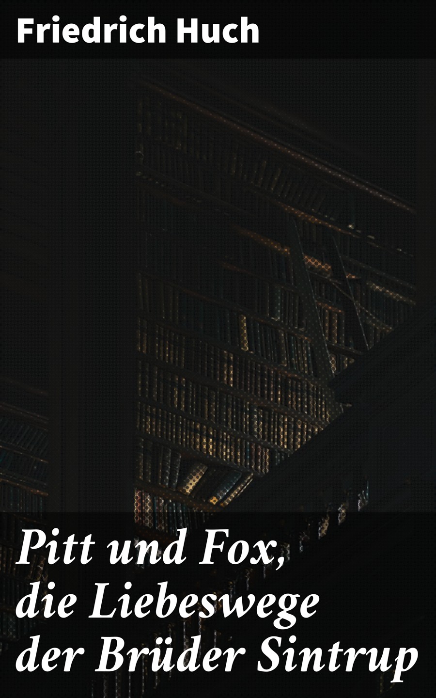 Обложка книги «Pitt und Fox, die Liebeswege der Brüder Sintrup»