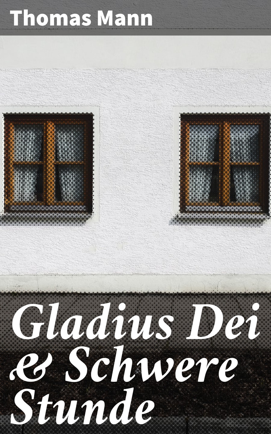 Обложка книги «Gladius Dei & Schwere Stunde»