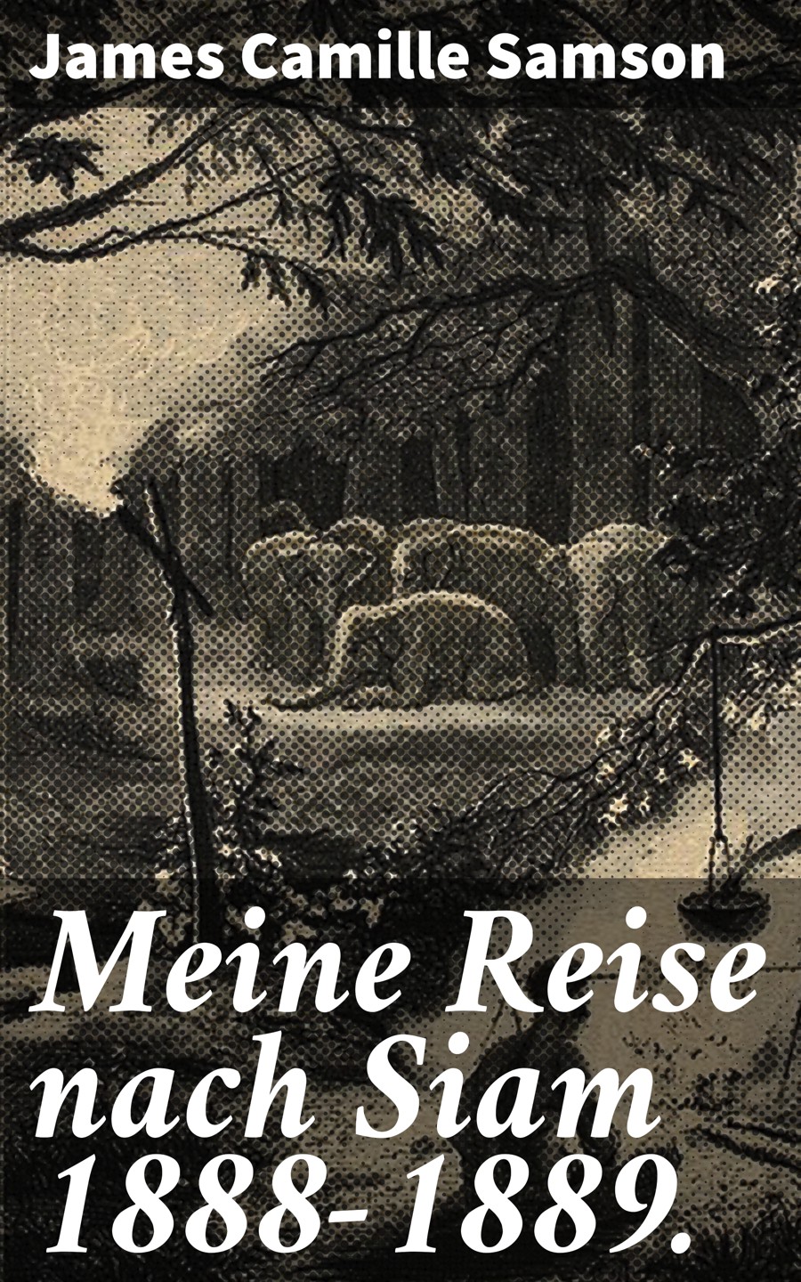Обложка книги «Meine Reise nach Siam 1888-1889.»