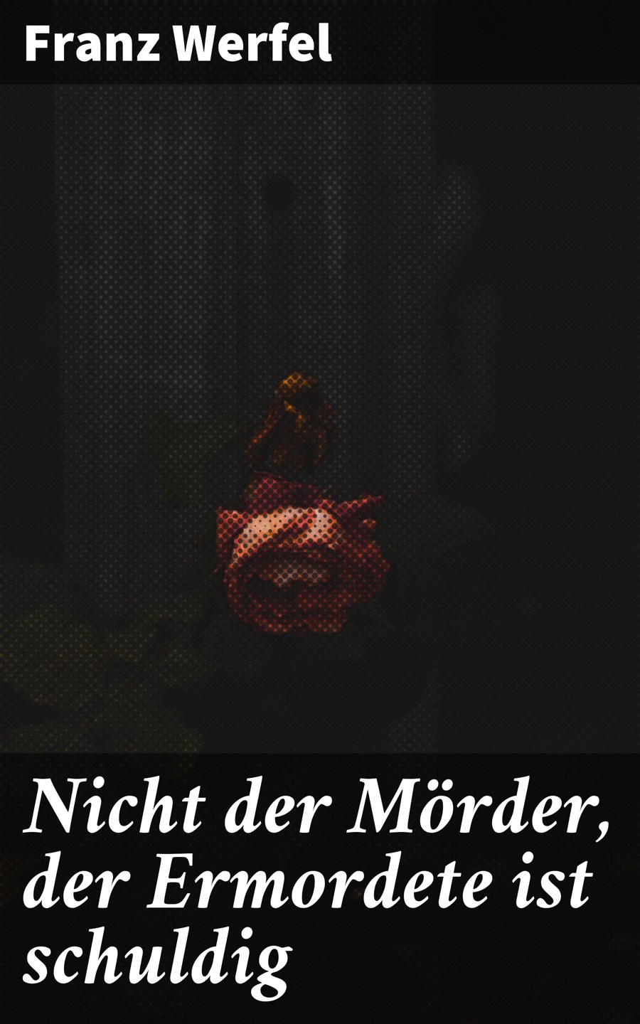 Обложка книги «Nicht der Mörder, der Ermordete ist schuldig»