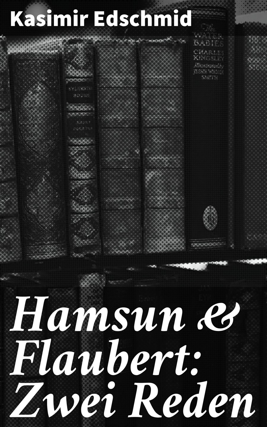 Обложка книги «Hamsun & Flaubert: Zwei Reden»