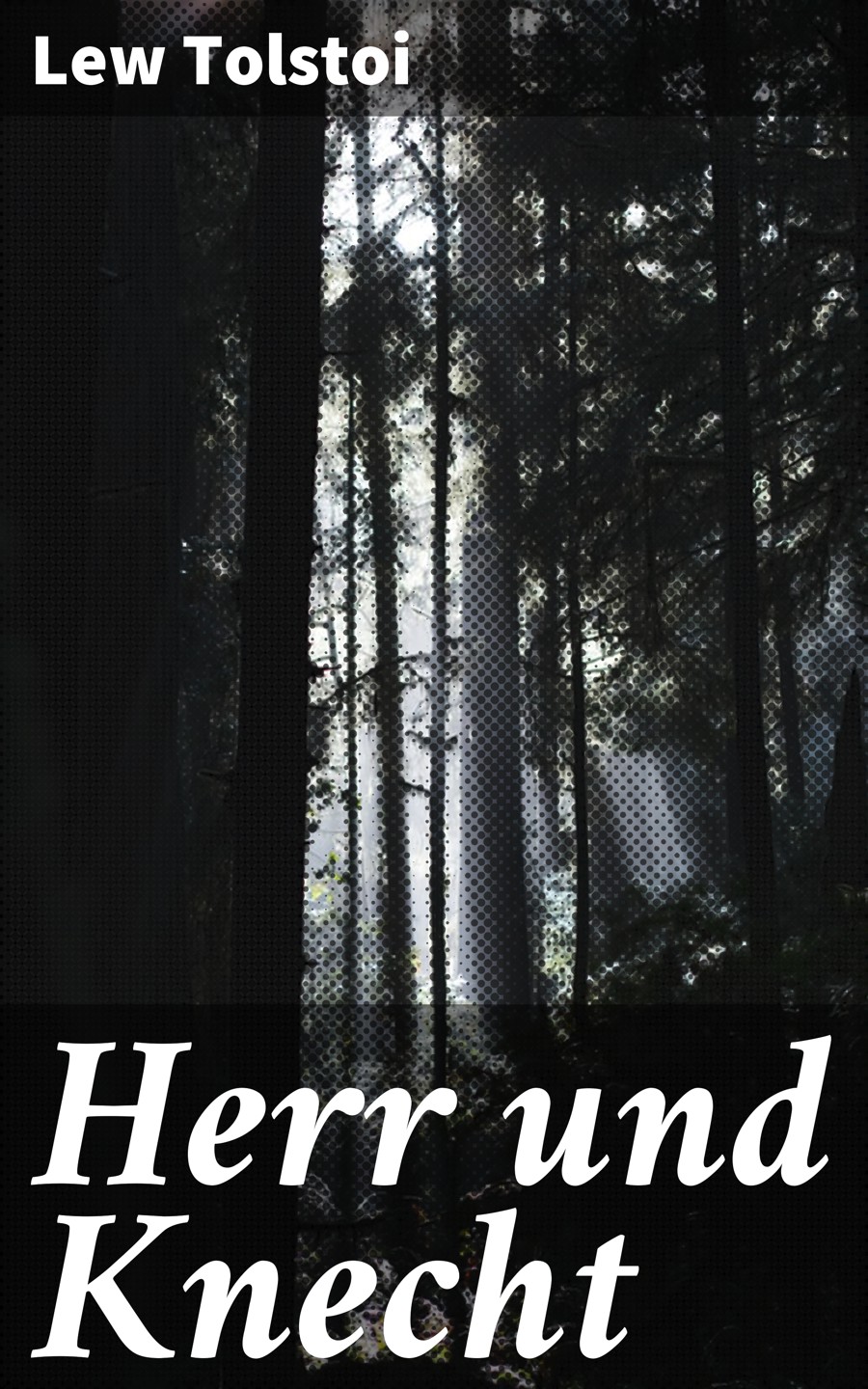 Обложка книги «Herr und Knecht»