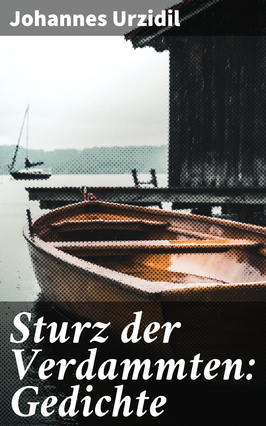 Обложка книги «Sturz der Verdammten: Gedichte»