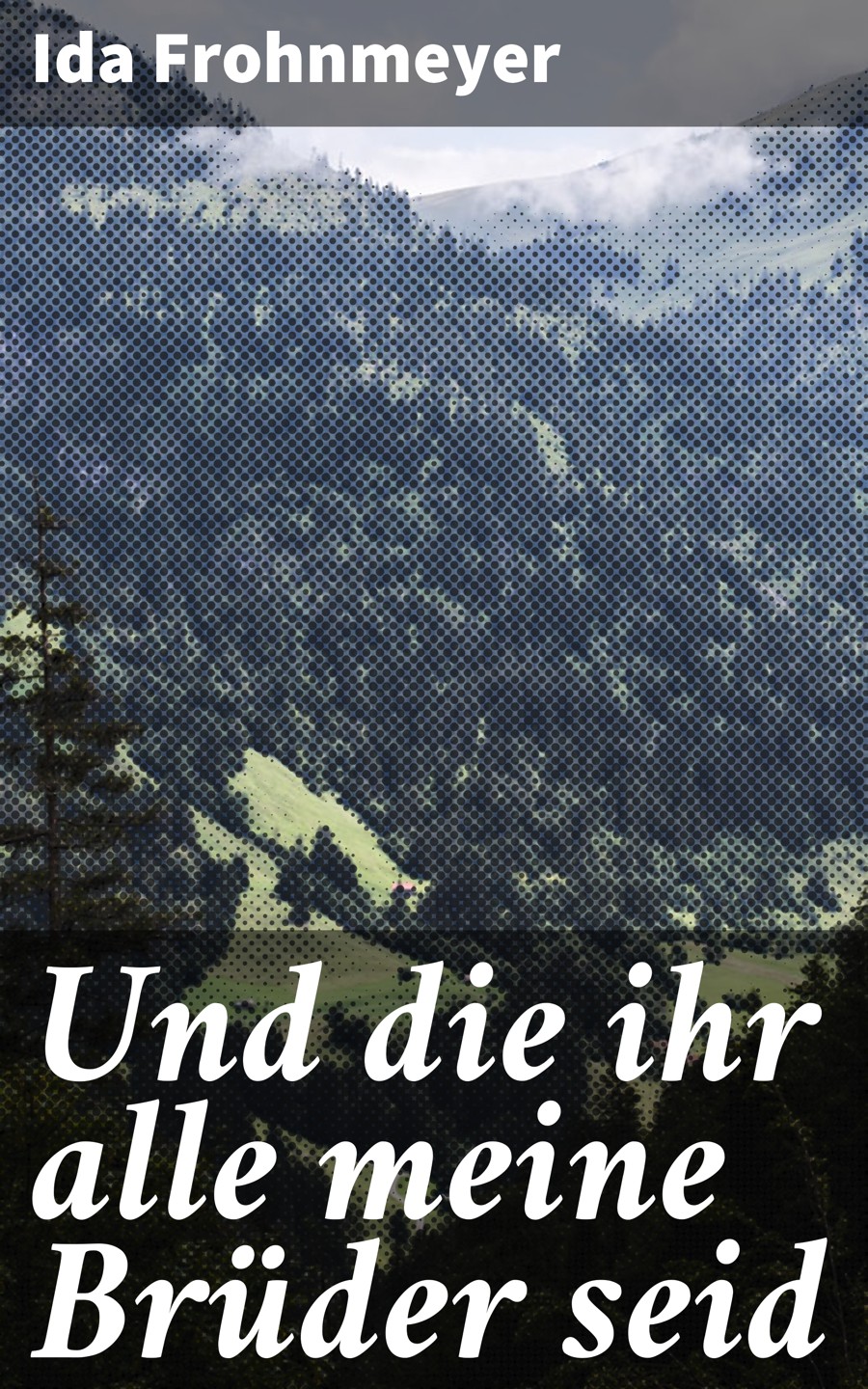 Обложка книги «Und die ihr alle meine Brüder seid»