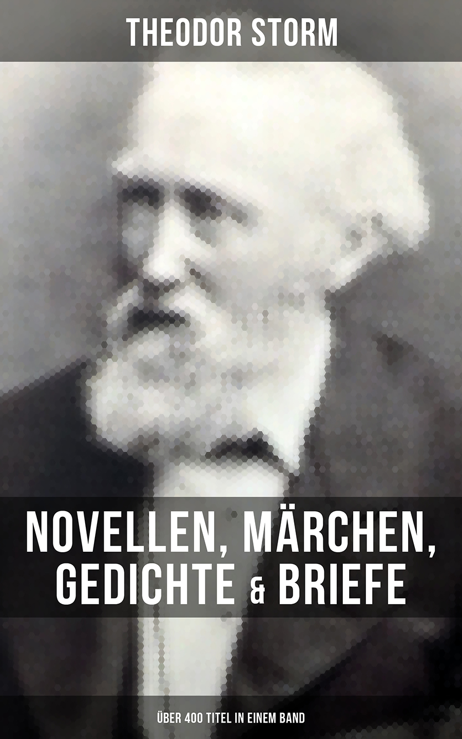 Обложка книги «Theodor Storm: Novellen, Märchen, Gedichte & Briefe (Über 400 Titel in einem Band)»