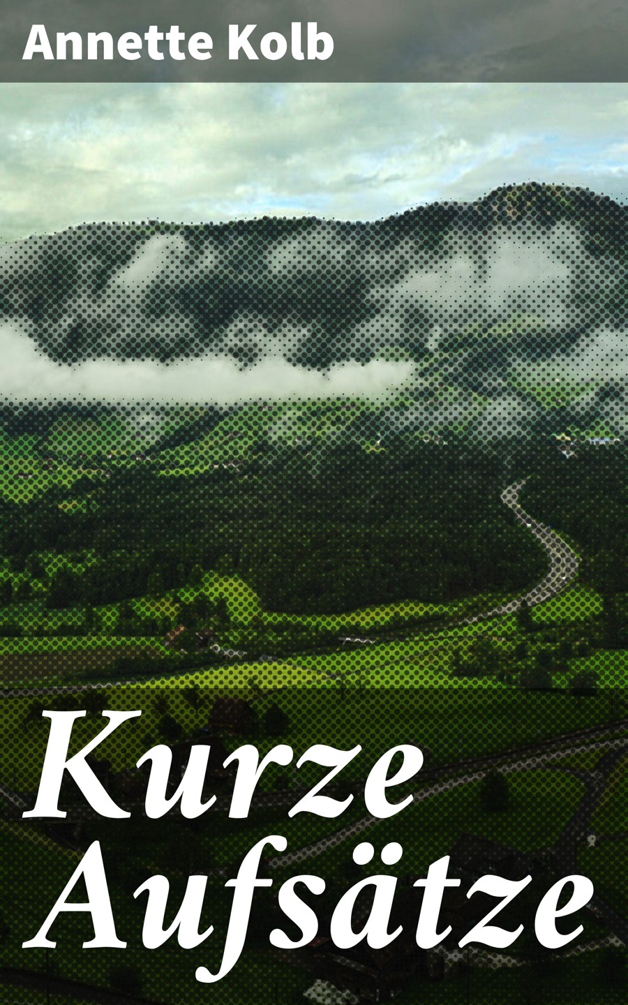 Обложка книги «Kurze Aufsätze»