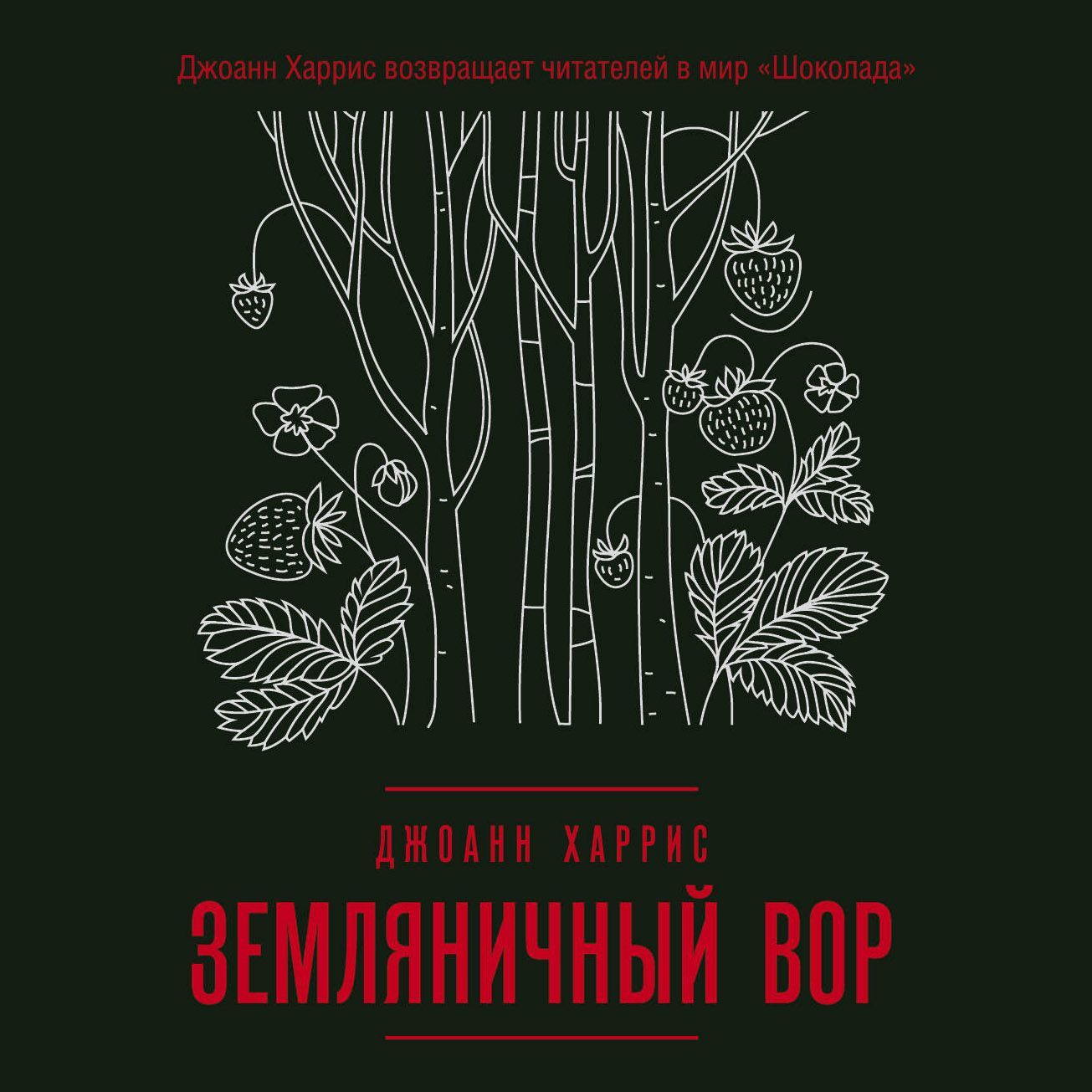 Обложка книги «Земляничный вор»