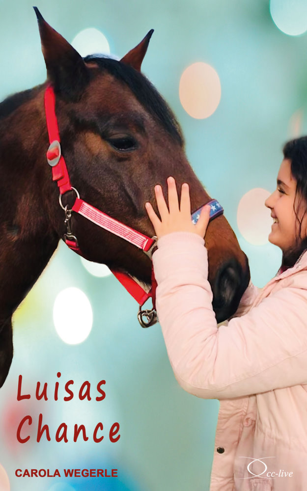Обложка книги «Luisas Chance»