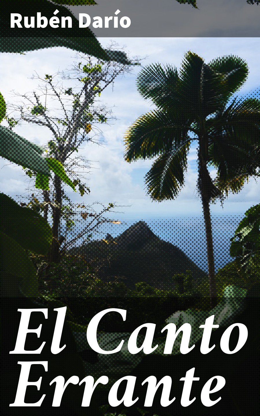 Обложка книги «El Canto Errante»