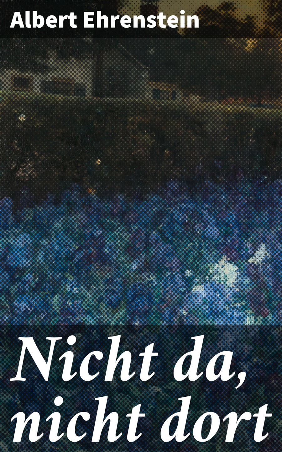 Обложка книги «Nicht da, nicht dort»