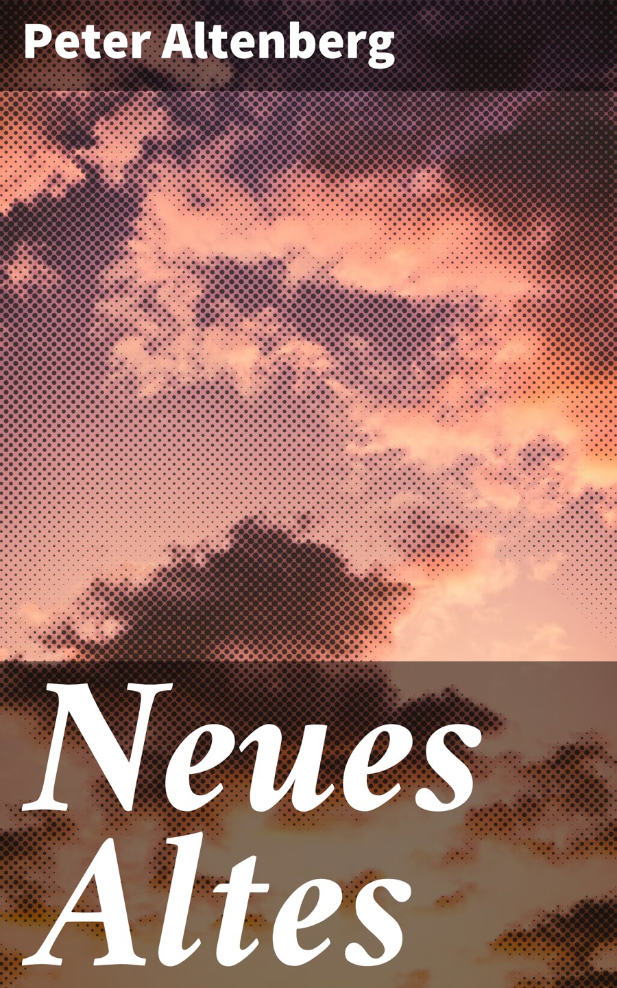 Обложка книги «Neues Altes»