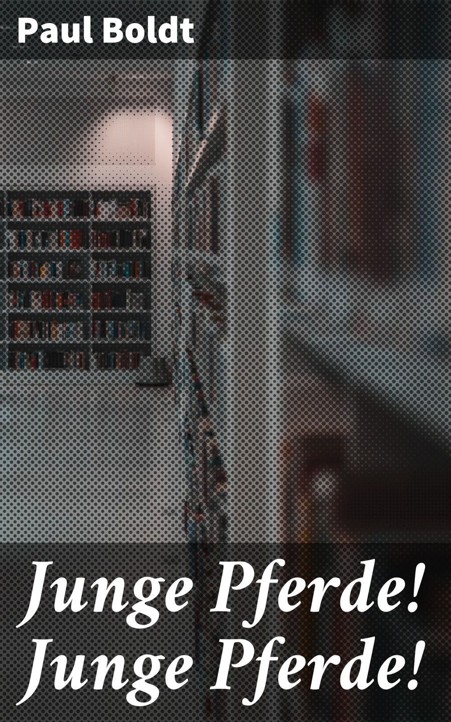 Обложка книги «Junge Pferde! Junge Pferde!»