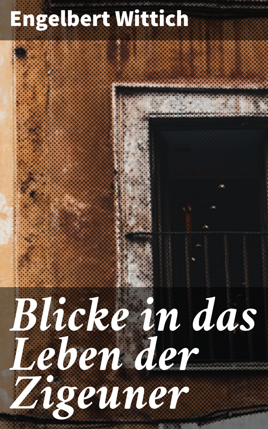 Обложка книги «Blicke in das Leben der Zigeuner»