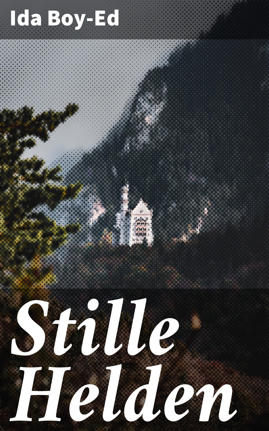 Обложка книги «Stille Helden»
