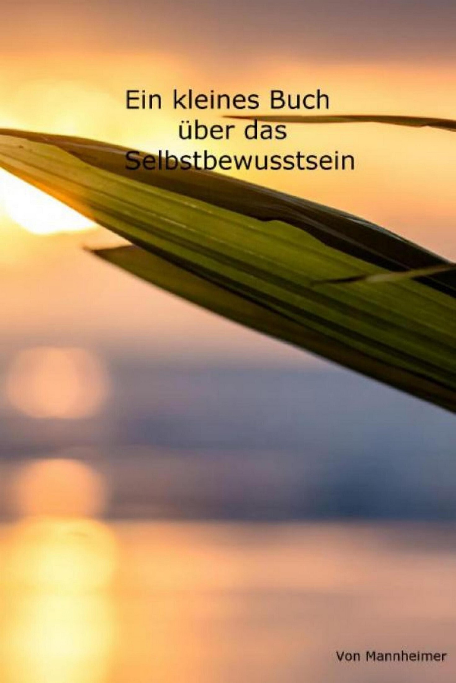 Обложка книги «Ein kleines Buch über das Selbstbewusstsein»