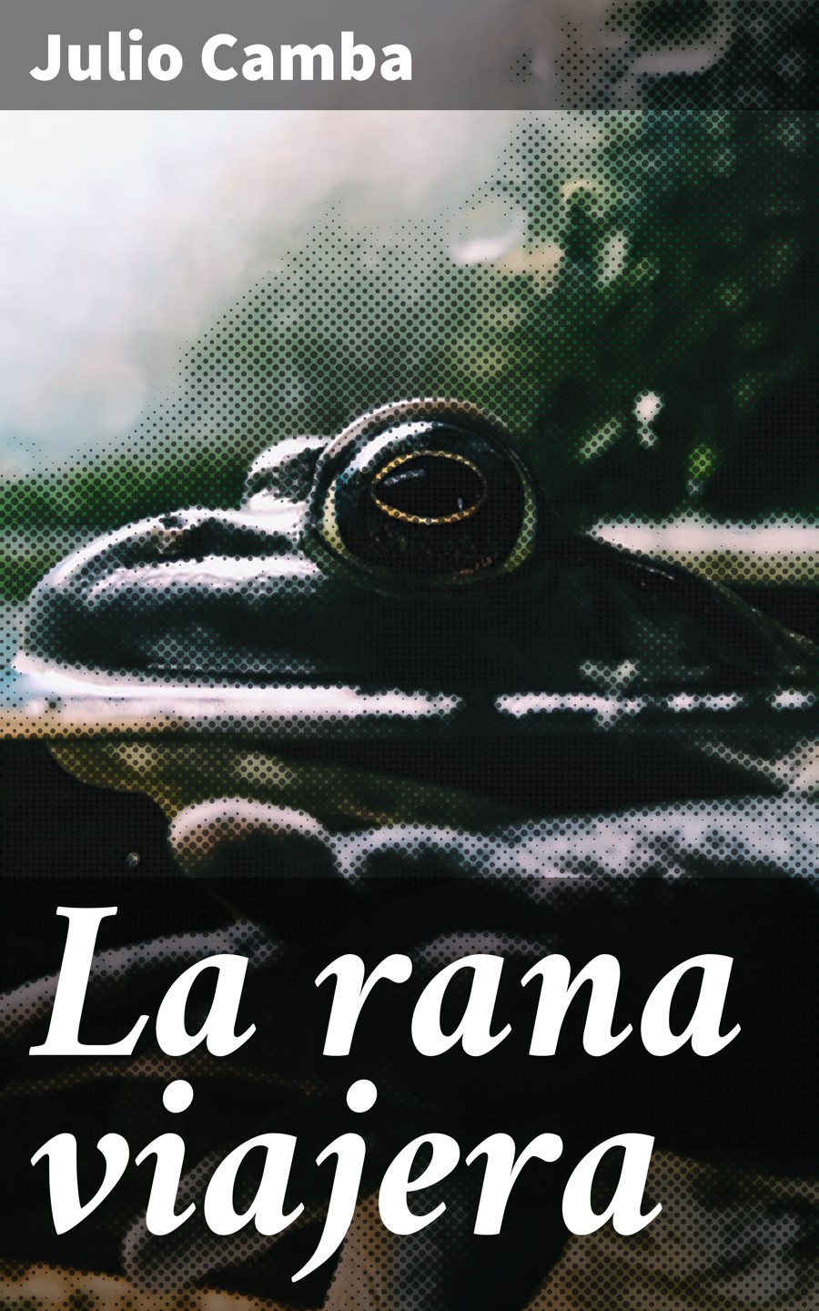 Обложка книги «La rana viajera»