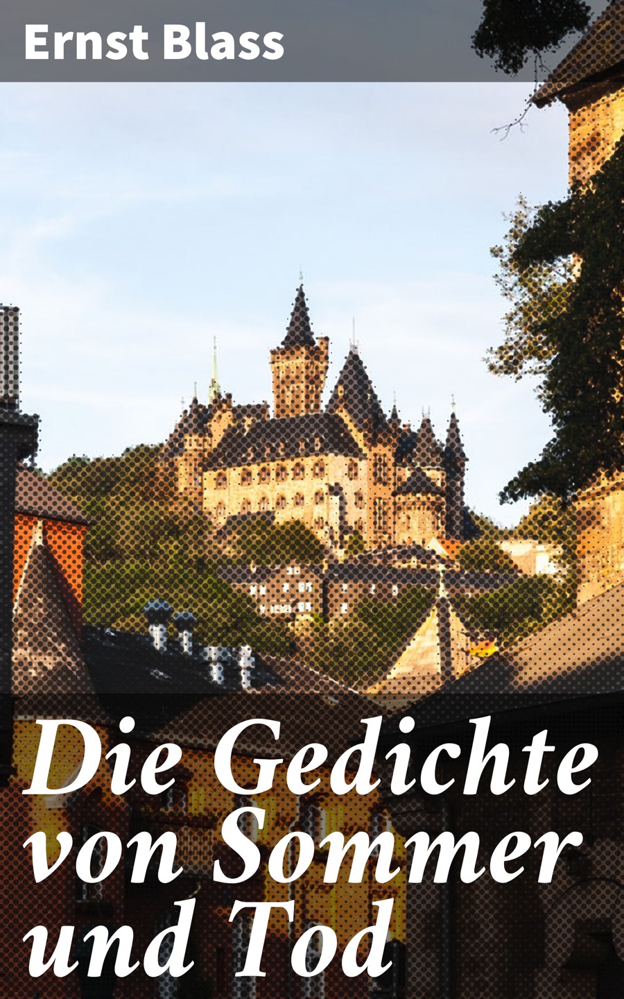 Обложка книги «Die Gedichte von Sommer und Tod»