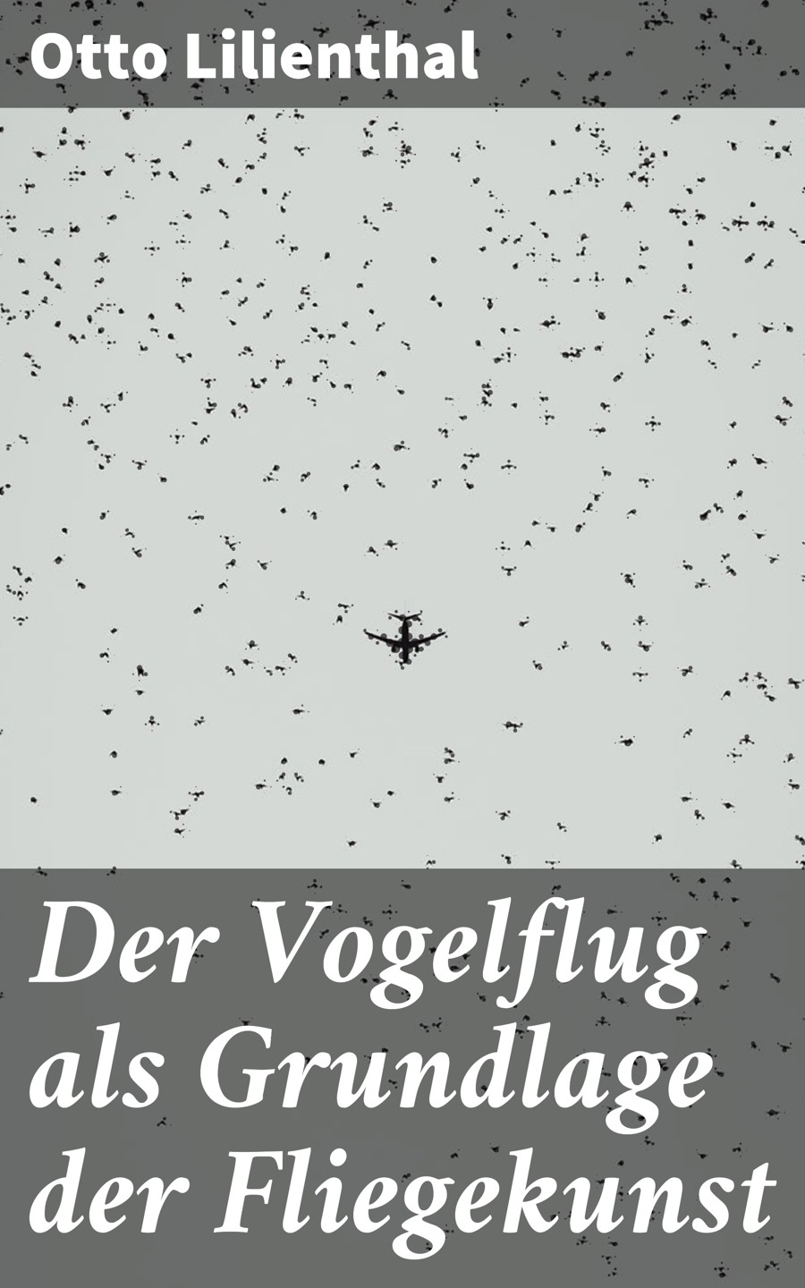 Обложка книги «Der Vogelflug als Grundlage der Fliegekunst»