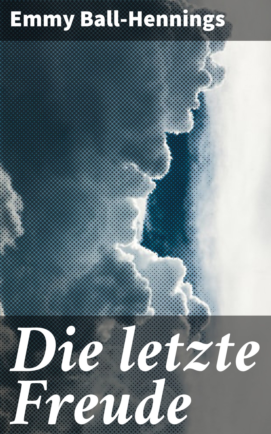 Обложка книги «Die letzte Freude»
