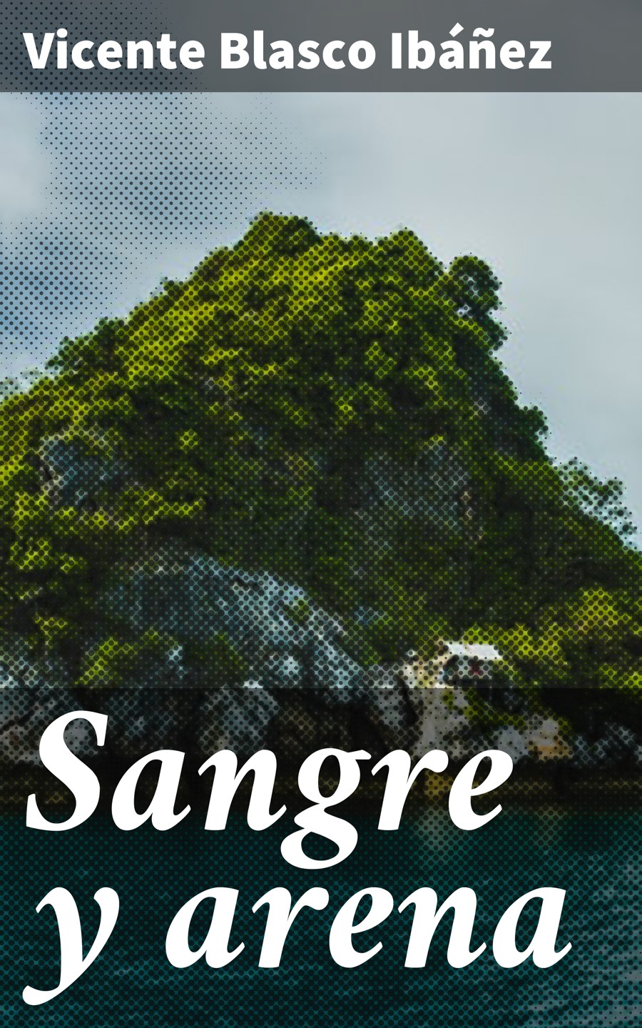 Обложка книги «Sangre y arena»