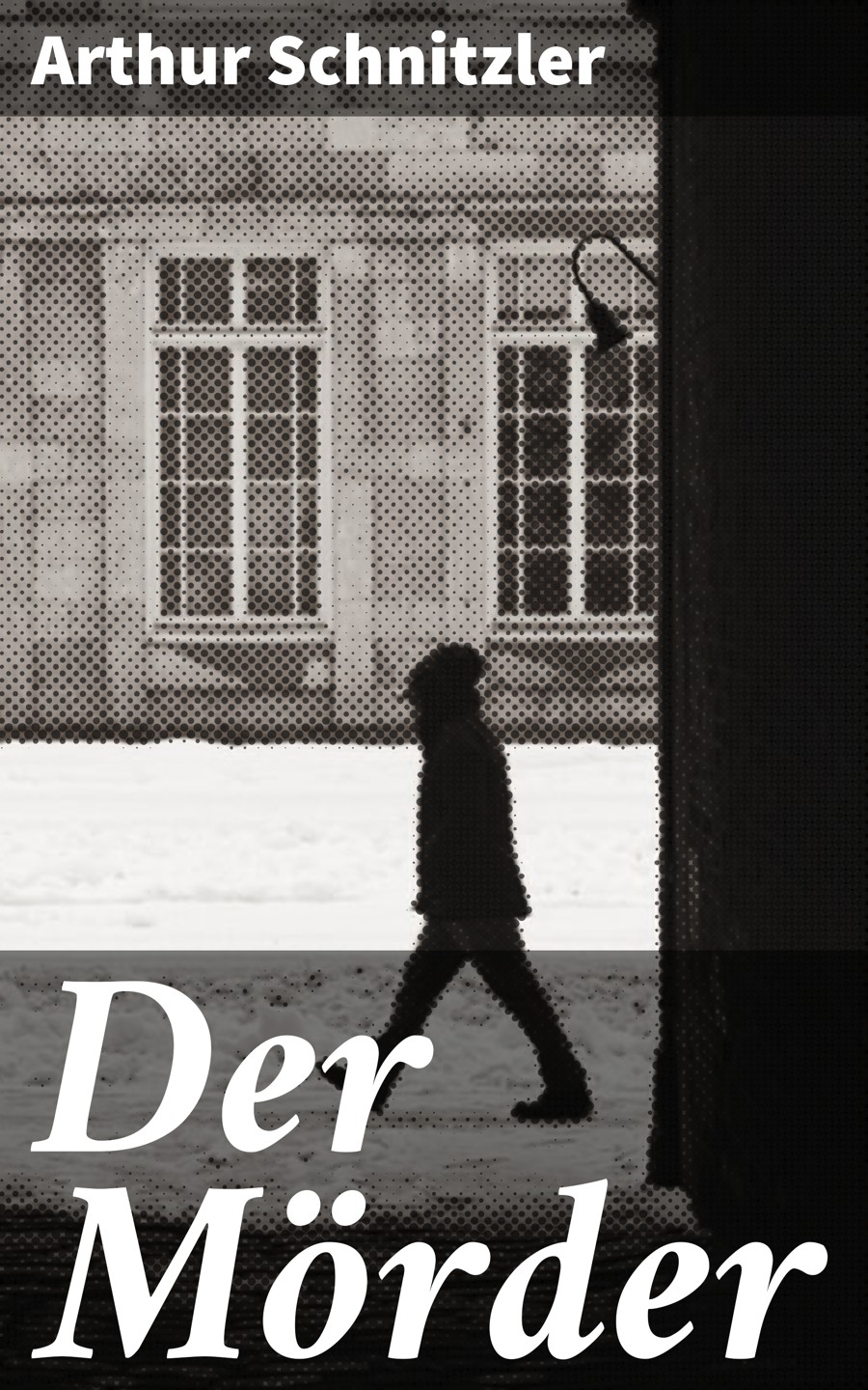 Обложка книги «Der Mörder»