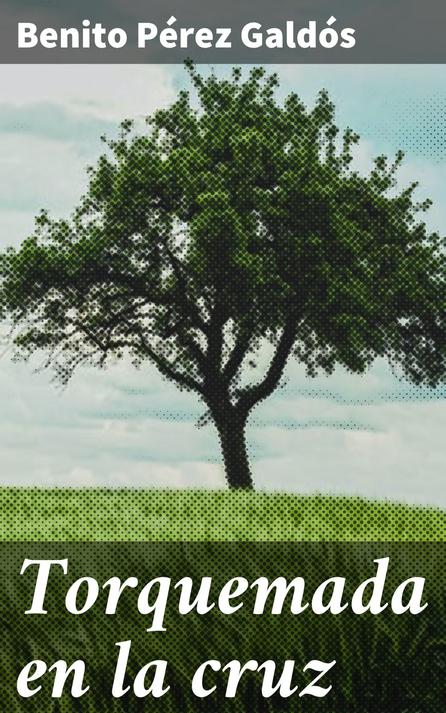 Обложка книги «Torquemada en la cruz»
