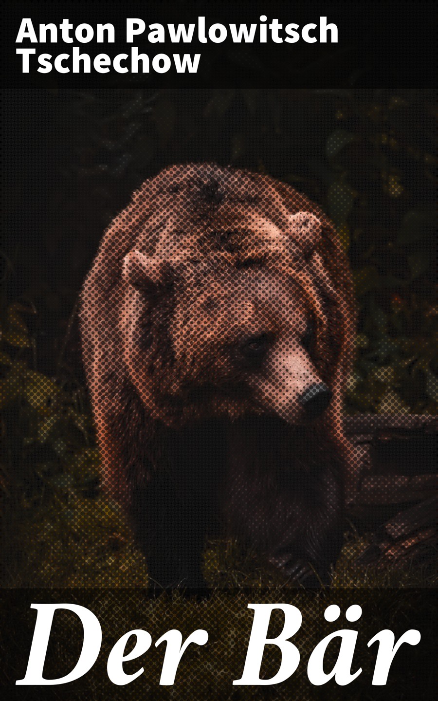 Обложка книги «Der Bär»