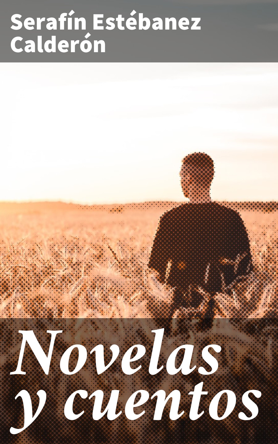 Обложка книги «Novelas y cuentos»