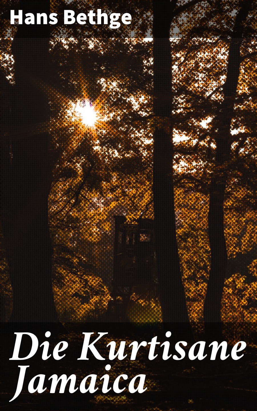 Обложка книги «Die Kurtisane Jamaica»