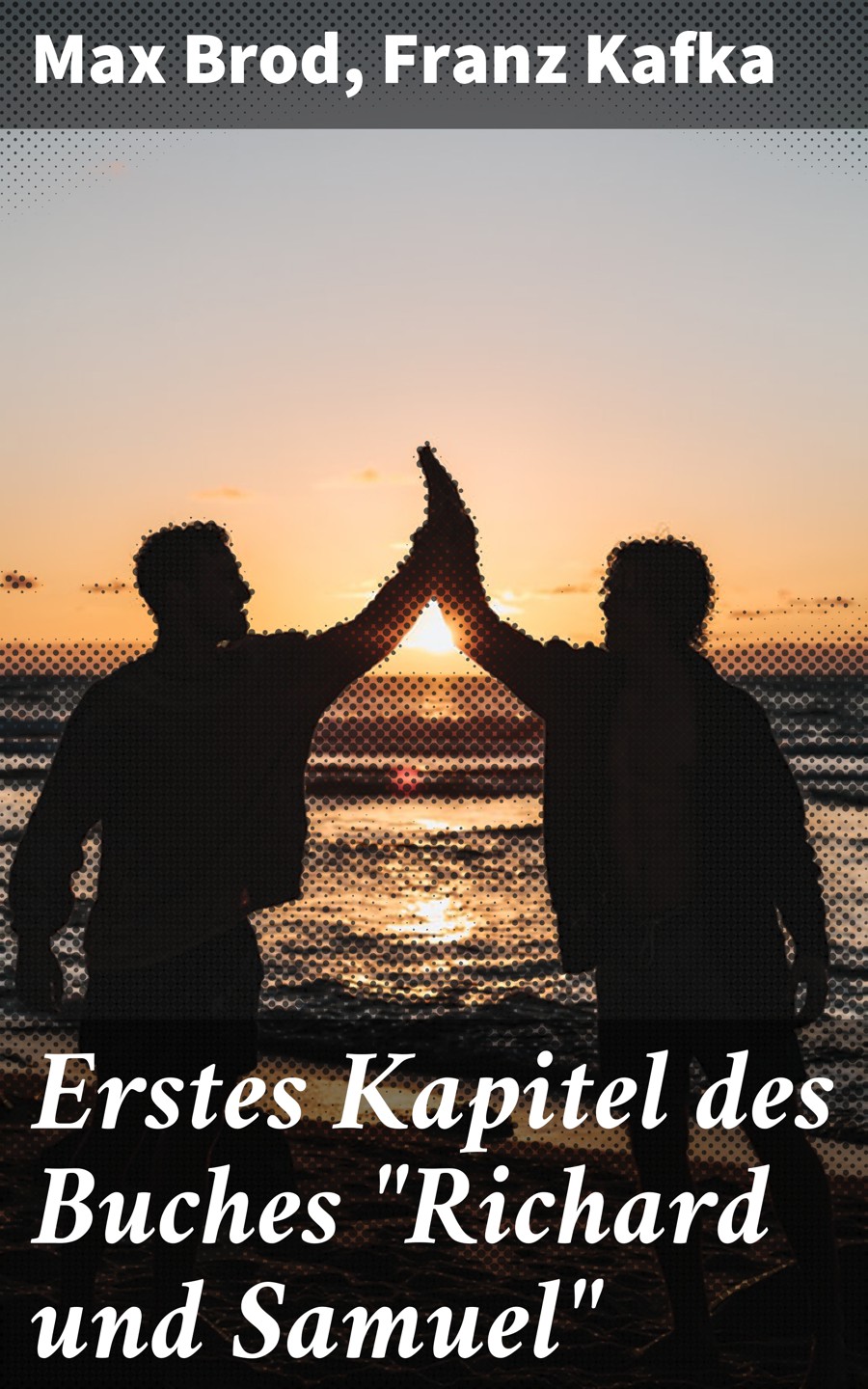Обложка книги «Erstes Kapitel des Buches "Richard und Samuel"»