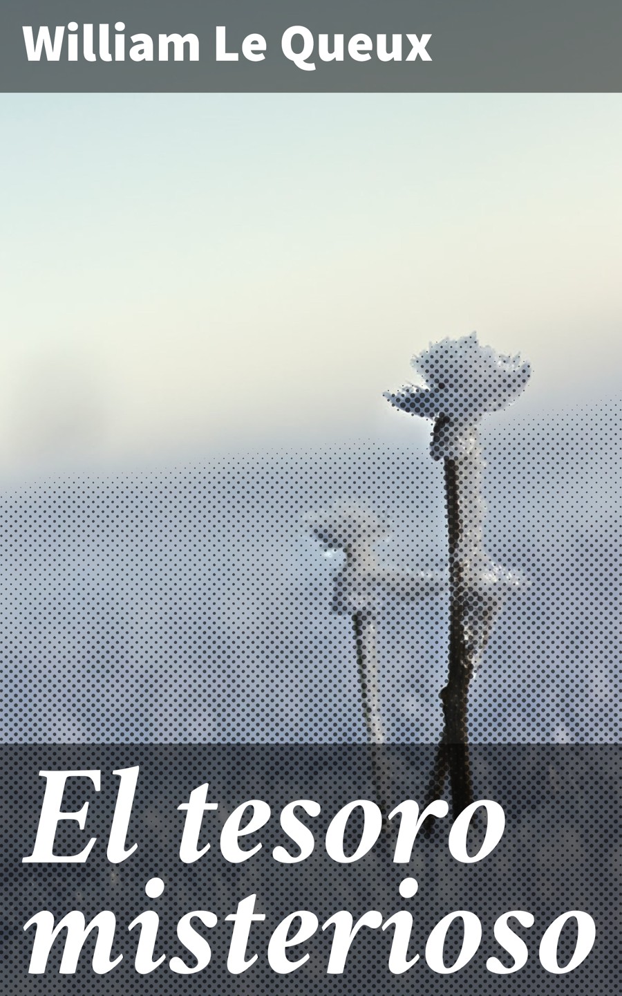 Обложка книги «El tesoro misterioso»